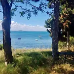 First Sea Line Flora, Next To The דירה