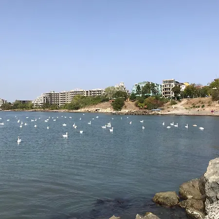 Apartament Budget First Sea Line Apt. Flora *