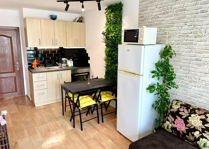 Budget First Sea Line Apt. Flora