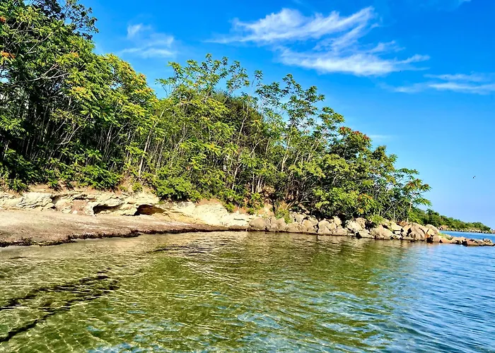 Апартаменты Budget First Sea Line Apt. Flora Поморие