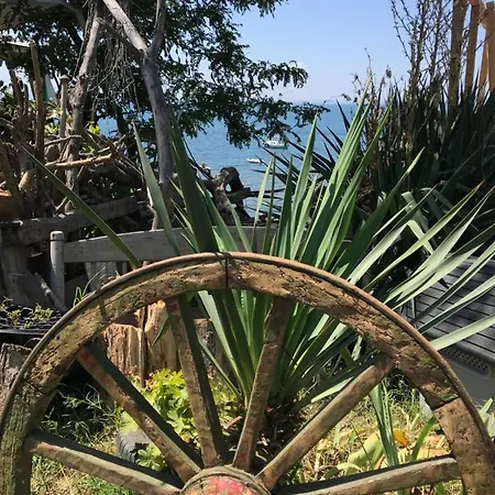 Budget First Sea Line Apt. Flora Apartment *