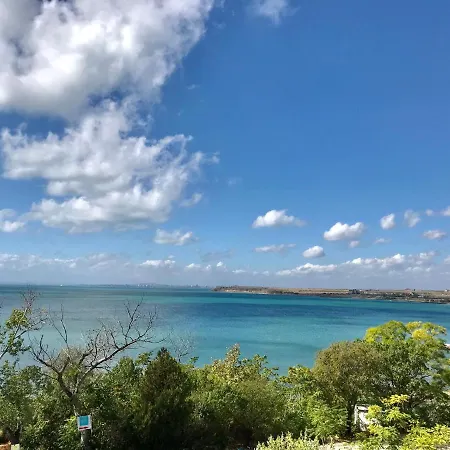First Sea Line Flora, Next To The Pomorie