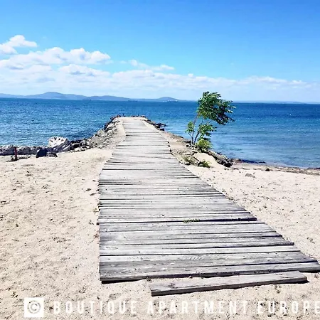 First Sea Line Flora, Next To The Pomorie